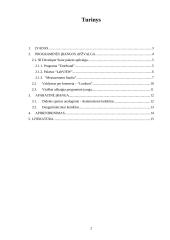 Virtualieji matavimo prietaisai 2 puslapis