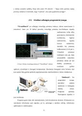 Virtualieji matavimo prietaisai 11 puslapis