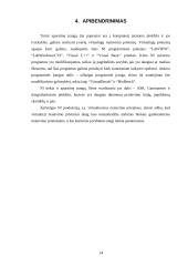 Virtualieji matavimo prietaisai 14 puslapis