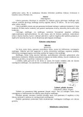 Vaistų gamyba 4 puslapis