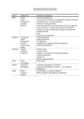 Spalvos liturgijoje