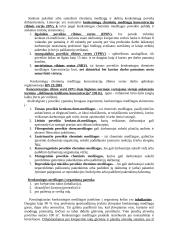 Cheminė aplinka 2 puslapis