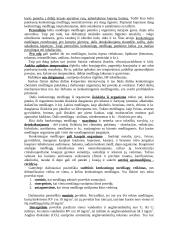 Cheminė aplinka 3 puslapis