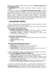 Cheminė aplinka 4 puslapis