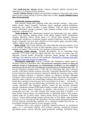 Cheminė aplinka 8 puslapis