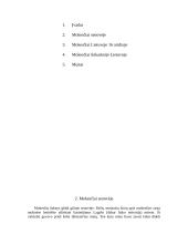 Istorinė mokesčių apžvalga 2 puslapis