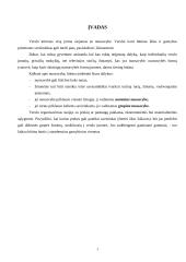 Pagrindinės verslo kūrimo formos 2 puslapis