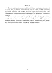 Pagrindinės verslo kūrimo formos 12 puslapis