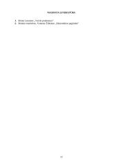 Pagrindinės verslo kūrimo formos 13 puslapis