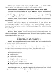 Pagrindinės verslo kūrimo formos 6 puslapis