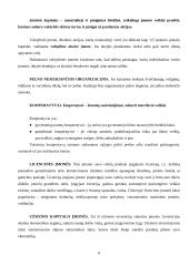 Pagrindinės verslo kūrimo formos 7 puslapis