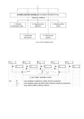 Personalo parinkimas (kandidatų charakteristikos) 5 puslapis