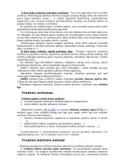 Akustinis triukšmas 4 puslapis
