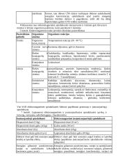 Elektromagnetiniai laukai 3 puslapis