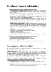 Elektros pavojingumas žmogui 5 puslapis