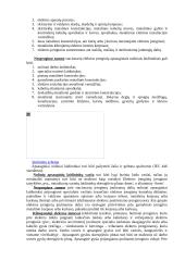 Elektros pavojingumas žmogui 10 puslapis