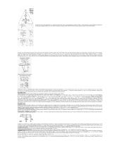 Nesimetriniai pereinamieji procesai 3 puslapis