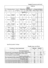 Struktūrizuotos kabelinės sistemos projektas 8 puslapis