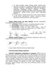 Vibracija (mechaniniai virpesiai) 3 puslapis
