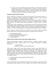 Politinės teorijos, jų esmė bei funkcijos 4 puslapis