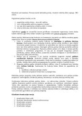 Politinės teorijos, jų esmė bei funkcijos 5 puslapis