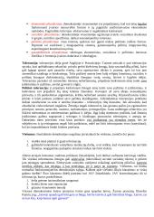 Politinės teorijos, jų esmė bei funkcijos 10 puslapis