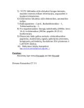 Susipažinimas su VGTU.LT interneto svetaine 2 puslapis