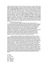 Gamybos sąmatos sudarymas 3 puslapis