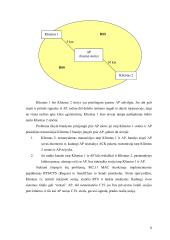 Bevieliai tinklai (IEEE 802.11 bei 802.11b standartais) 9 puslapis