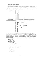 Informatika (piramidės metodas) 14 puslapis