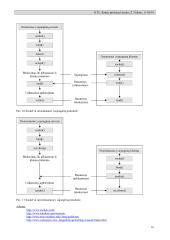 Kompiuterinių tinklų komunikaciniai resursai 16 puslapis
