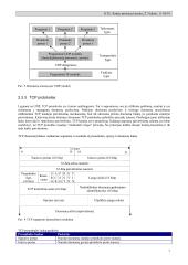 Kompiuterinių tinklų komunikaciniai resursai 7 puslapis