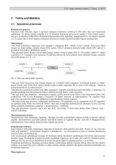 Kompiuterinių tinklų komunikaciniai resursai 10 puslapis