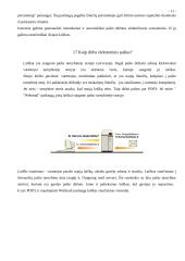 MS Outlook 11 puslapis