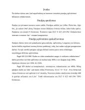 Patalpų optimalaus apšvietimo apskaičiavimas 2 puslapis