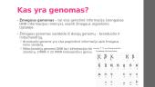 Žmogaus gemalo tyrimai ir genetinių sutrikimų diagnostika 2 puslapis