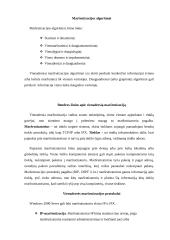 Vienadresiai maršrutizavimo algoritmai 3 puslapis