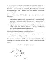 Vienadresiai maršrutizavimo algoritmai 8 puslapis