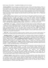Sruogos konspektas 1 puslapis