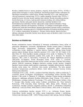 Barokas mene ir architektūroje 2 puslapis