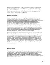 Barokas mene ir architektūroje 4 puslapis