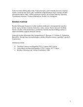 Barokas mene ir architektūroje 5 puslapis