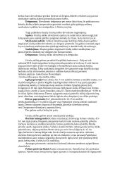 Girulių miškas 2 puslapis