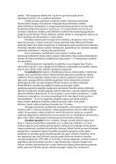 Girulių miškas 3 puslapis