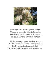 Kaštonai 12 puslapis