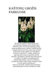 Kaštonai 7 puslapis