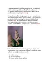 Kaštonai 10 puslapis