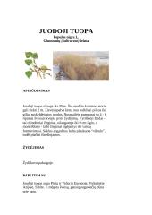 Miškas - gamtos tvirtovė (tuopa) 11 puslapis