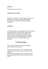 Miškas - gamtos tvirtovė (tuopa) 12 puslapis