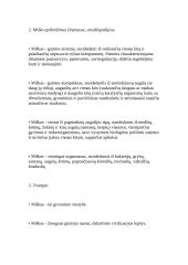 Miškas - gamtos tvirtovė (tuopa) 4 puslapis